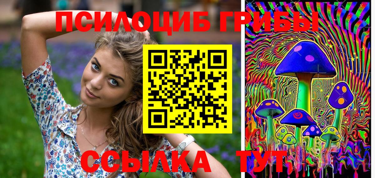 Псилоцибиновые грибы MAGIC MUSHROOMS  Вход с VPN  хочу   Богданович 