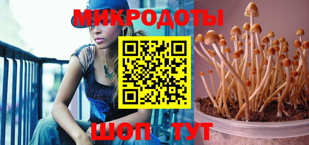 Псилоцибиновые грибы MAGIC MUSHROOMS Богданович